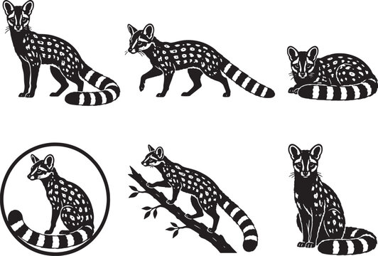 Genet Silhouette Icon Set Collection Black Vector Small Carnivore Wildlife Symbols Isolated on White Background