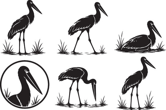 Jabiru Silhouette Icon Set Collection Black Vector Stork Wildlife Symbols Isolated on White Background