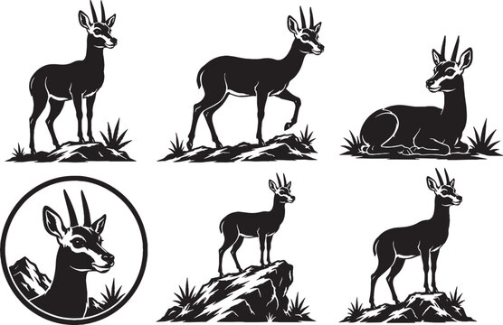 Klipspringer Silhouette Icon Set Collection Black Vector Rock Dwelling Antelope Wildlife Symbols Isolated on White Background