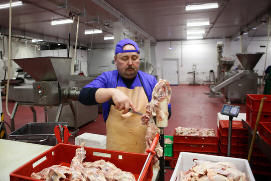 Male meat shop worker butchers chicken carcasses. Working at meat processing plant.Concept of meat processing business