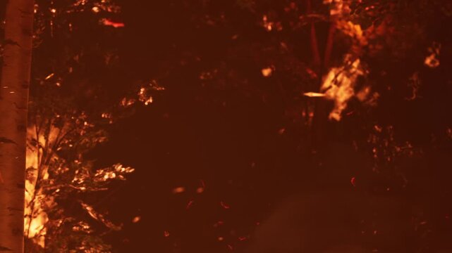 Bright flames illuminate the dark forest as a wildfire expands. Smoke fills the air and embers float around. Trees are surrounded by fire and chaos unfolds at night.