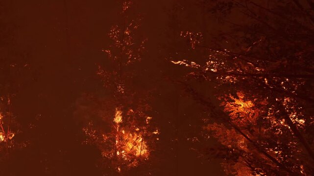Flames engulf trees in a forest as a wildfire spreads. The bright firelight contrasts against the dark sky. Smoke rises, making the atmosphere heavy and tense.
