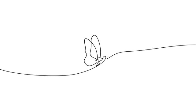 Minimalist Elegant One Line Drawing Butterfly