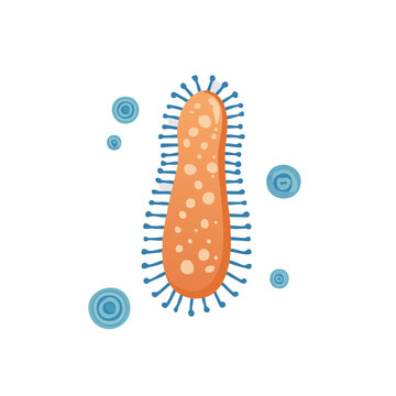 Orange Rod-Shaped Microbe with Blue Cilia