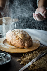 Fototapeta premium Artisan baker hands dusting white flour over hot freshly baked sourdough bread loaf on wooden board. Rustic traditional homemade bakery production concept with dramatic flour splash.