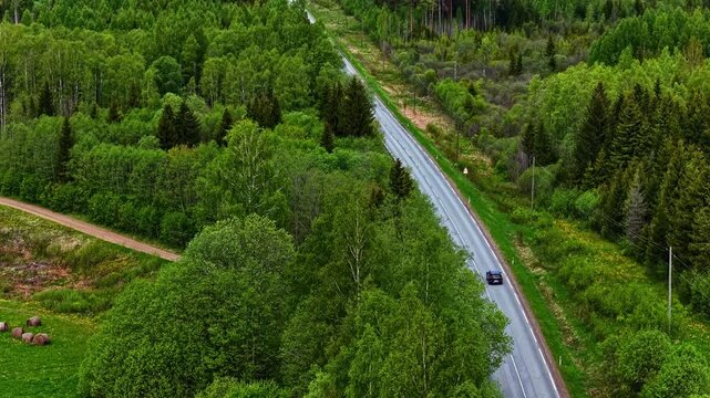 Aerial view of a quiet Latvian forest road with a single car passing through dense birch, spruce and pine woodland in lush green countryside.
