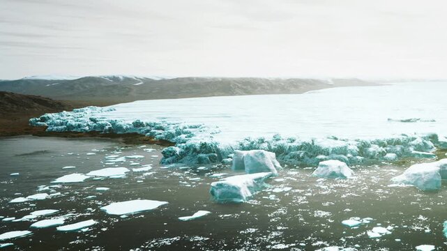 Large icebergs float on the waters surface beside a glacier. The shoreline shows rocky terrain and distant mountains under a clear sky. It is a bright day with natural light.