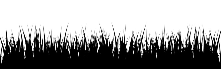 Fototapeta premium Meadow silhouette with grass, plants on plain. Panoramic summer lawn landscape with herbs, various weeds. Herbal border, frame element. Black horizontal banners. Vector illustration