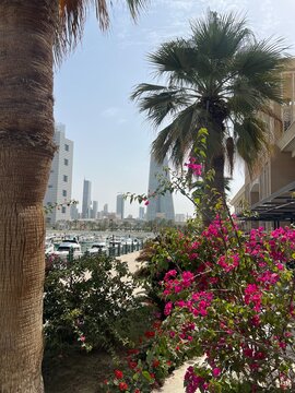 Kuwait City is the capital of the gulf nation of Kuwait