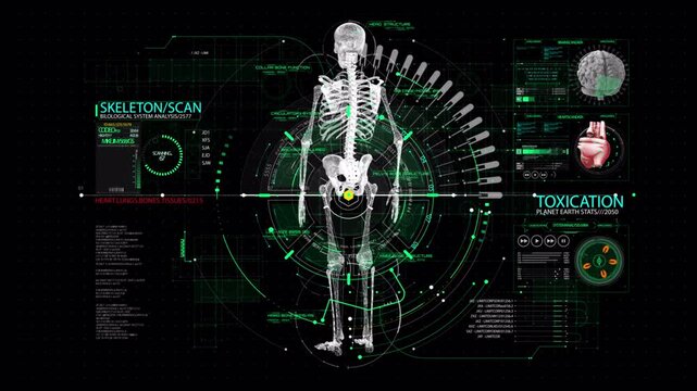 Futuristic Digital Human Anatomy Scan with HUD Interface and Skeletal System Analysis.