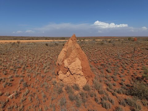 View of a large termite mound in the arid landscape near Minilya-Exmouth Road with red soil and sparse vegetation under a clear blue sky in Minilya, Western Australia, Australia.
