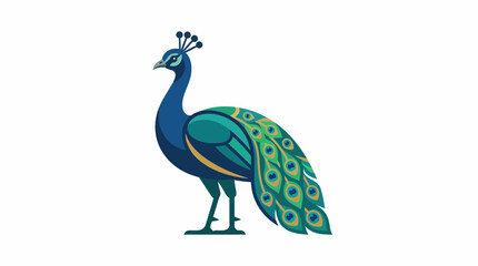 Vibrant peacock stands proudly in a lush setting showcasing its feathers 20260701 © Rohman