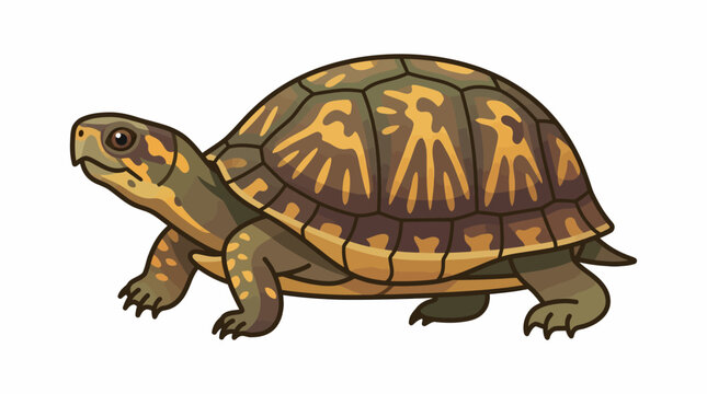 Ancient turtle walks slowly on land with artistic shell patterns 20260701