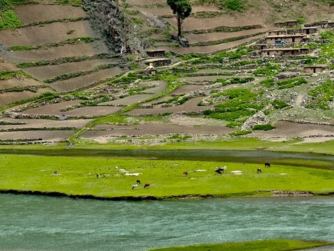 Kunhar River Flowing Through Green Valley with Terraced Fields Rural Landscape and Mountain Village Near Naran Kaghan Pakistan