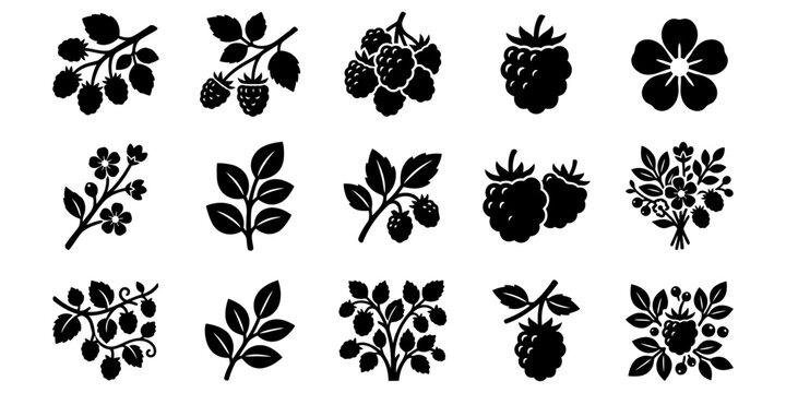 Black and White Berry and Leaf Icons Set 1.