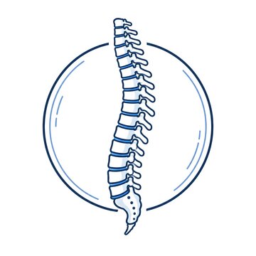 Human spine icon