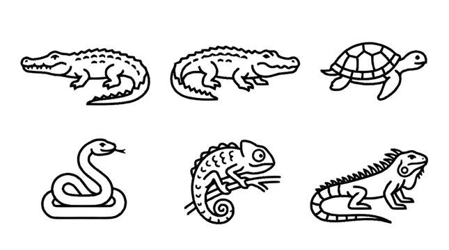 Various reptiles including alligator, crocodile, turtle, snake, lizard, and chameleon are illustrated.