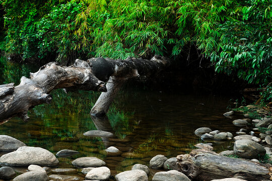 Beautiful landscape of kerala