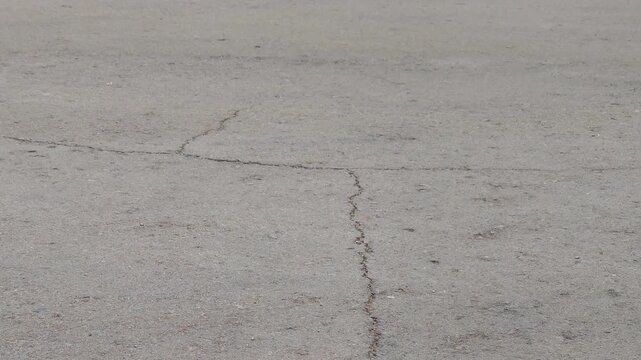 cracks and fissures on asphalt pavement