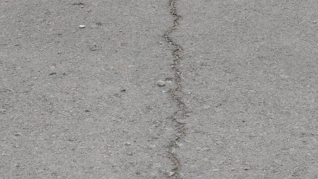 cracks and fissures on asphalt pavement