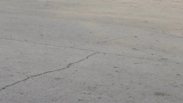 cracks and fissures on asphalt pavement