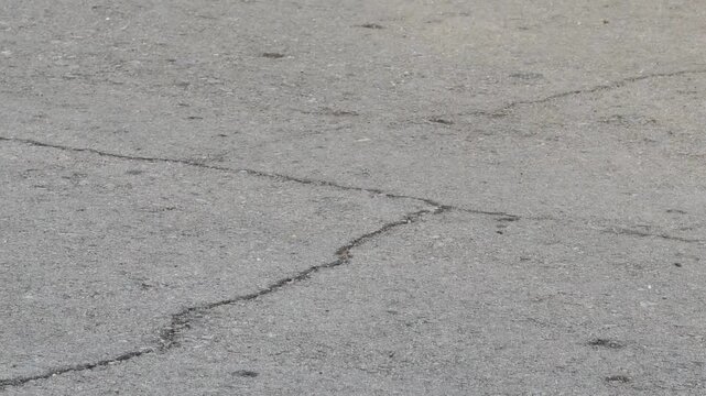 cracks and fissures on asphalt pavement