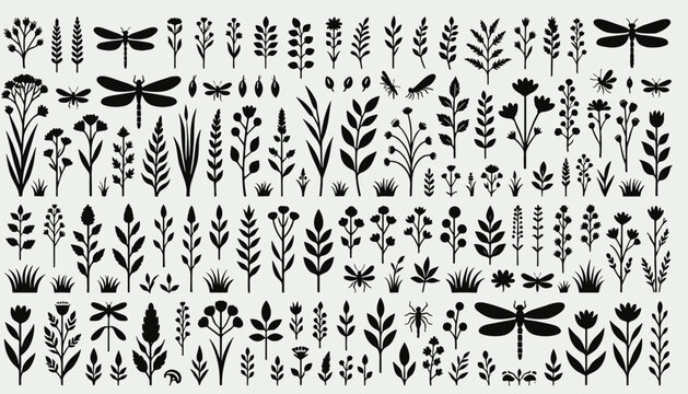 Wild Meadow Grass and Field Plant Silhouette Collection Featuring Delicate Botanical Leaf Stems and Dragonfly Insects for Natural Backgrounds