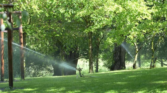 Garden Sprinkler Watering Green Park Lawn