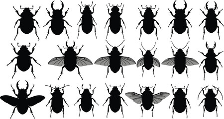 Beetle silhouettes, insect vector set, stag beetle outline, flying beetle clipart, scarab beetle shape, bug illustration, beetle wings, beetle shadow designs © Moksedul  Creative
