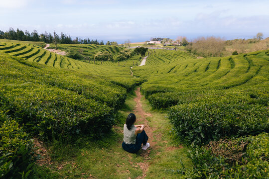 Woman admiring gorreana tea plantation in azores