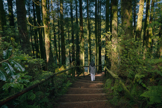 Woman walking down rustic forest stairs in the azores
