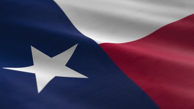 Texas - waving flag loop