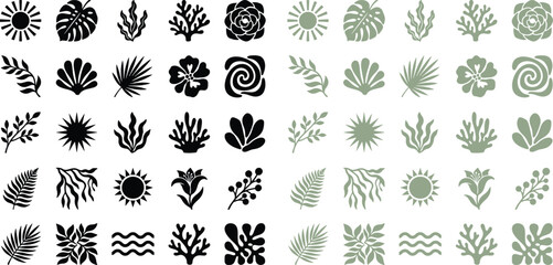 Set of black and sage green botanical icons including tropical leaves flowers and sun symbols with botanical tropical graphics vegetation monochrome minimalist elements collection © Kanon Islam