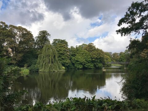 Scenic park lake with weeping willow and bridge in Copenhagen