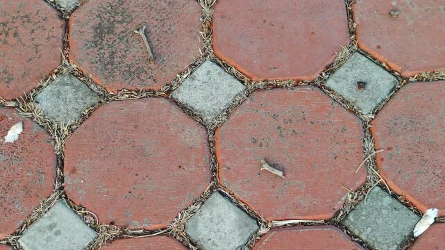 Concrete paving blocks in a public park