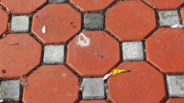 Concrete paving blocks in a public park
