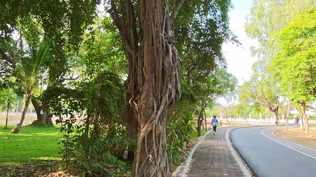 Trees in the Park หรือ Park Trees