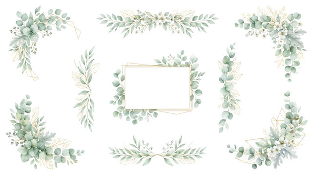  Watercolor Eucalyptus Greenery Border and Frame Set Botanical Illustration Collection