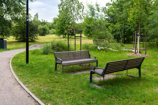 Two empty wooden benches stand beside a curved park path with grass, young trees, shrubs, and a black lamppost. Useful for public space, rest area, urban greenery, walking route, relaxation, and outdo