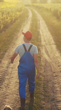 A man walks along a dirt path in a farming area, wearing blue overalls and a red cap. The man and his small dog stroll together in the warm evening light.
