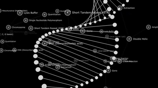 Abstract black and white gene sequencing double helix animation ideal for medical documentary, biotechnology luma matte transitions, and corporate tech video.