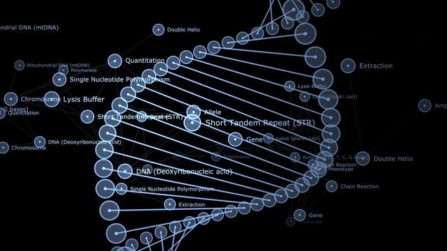 Rotating 3D DNA double helix infographic map displaying gene sequencing terms for biotechnology presentation, healthcare innovation, and medical education