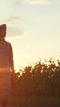 A man walks through a field at sunset. The man holds a book while surrounded by tall plants, creating a serene atmosphere in the fading light.