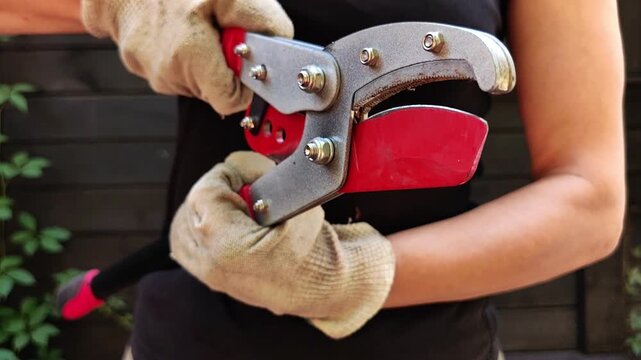 An adult demonstrates pruning shears while wearing work gloves outdoors, gardening tools, plant trimming, manual labor, practical maintenance.