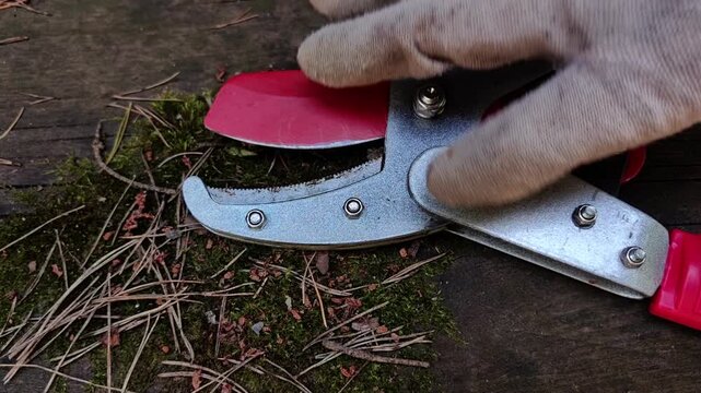 Macro view of pruning shears outdoors, gardening equipment, sharp cutting tool, plant care, professional maintenance.