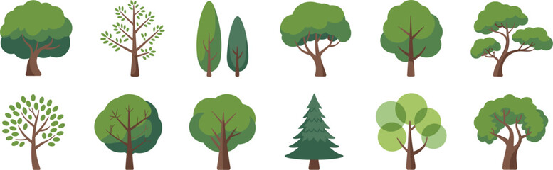 Set of twelve flat tree featuring various deciduous and coniferous species with green foliage on a clean white background © Badhon
