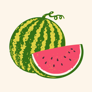 Green Watermelon. Whole fresh summer fruit, juicy red slice with seeds. Hand drawn Vector illustration. Vibrant design for menus, packaging, and summer prints. Isolated element