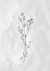 Fototapeta premium Minimal line art Hand drawn a wildflower for logo illustrated drawing sketch.