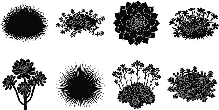 Succulent Plant and Ground Cover Silhouette Collection Featuring Desert Rosettes Floral Clusters and Botanical Garden Elements