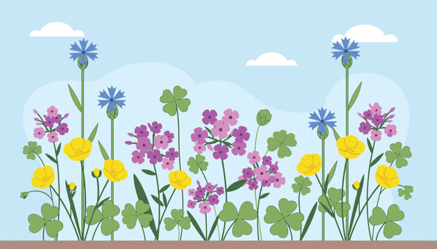 Beautiful summer meadow filled with various blooming wildflowers like purple primroses, yellow buttercups, and blue cornflowers.